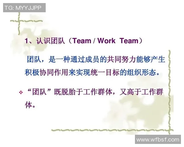 成都乒乓球队团队协作的独特优势与其他队伍的对比分析